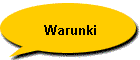 Warunki