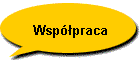 Wsppraca